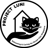 Project Luni